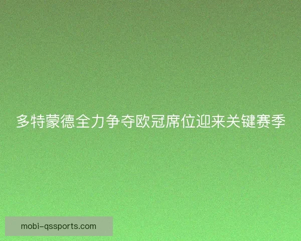 多特蒙德全力争夺欧冠席位迎来关键赛季